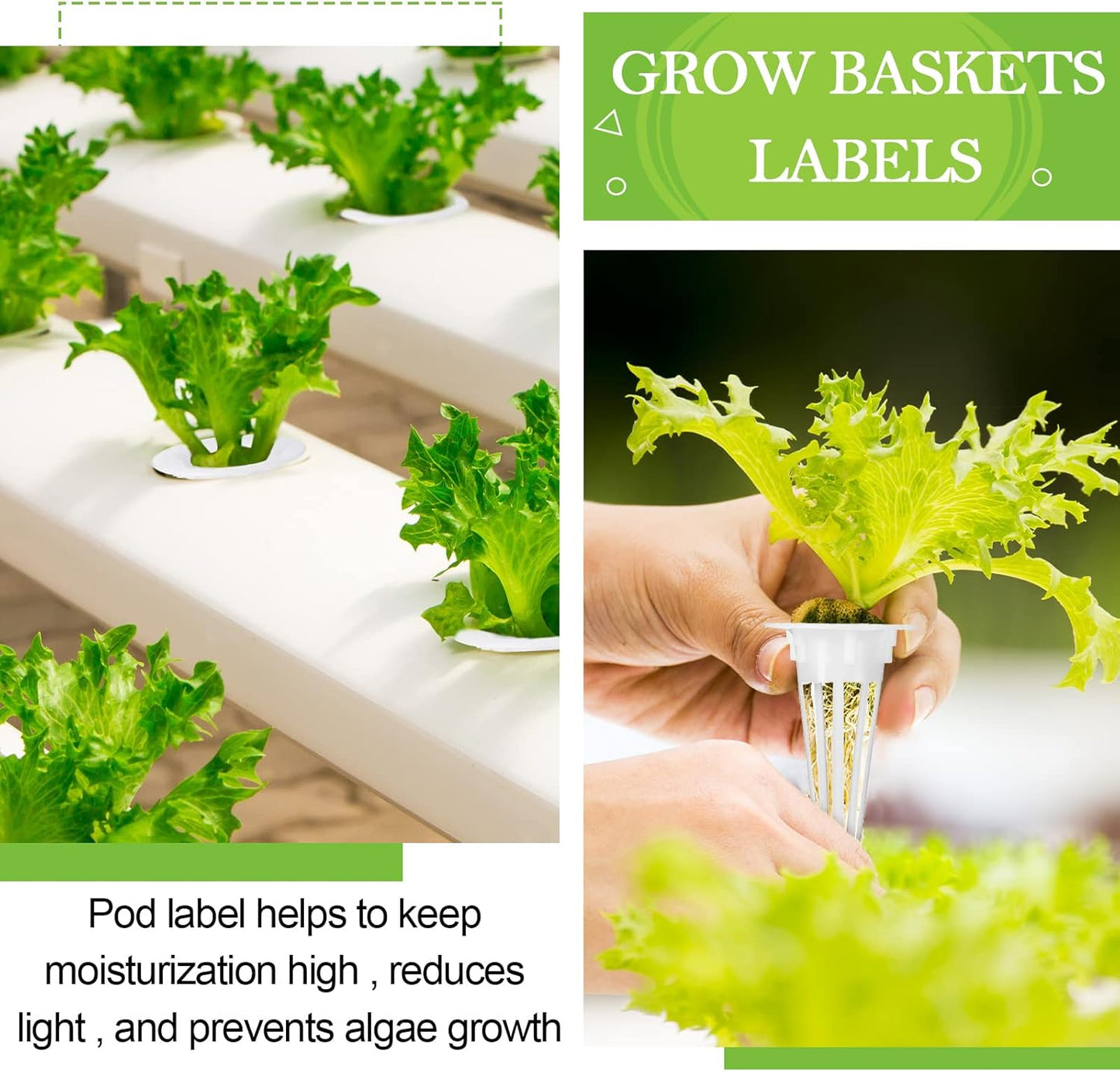 Cunhill 100 Pcs Hydroponic Growing Kit Include 50 Pcs Plant Replacement Basket Containers and 50 Pcs Seed Pot V1258-DP02-B-1546