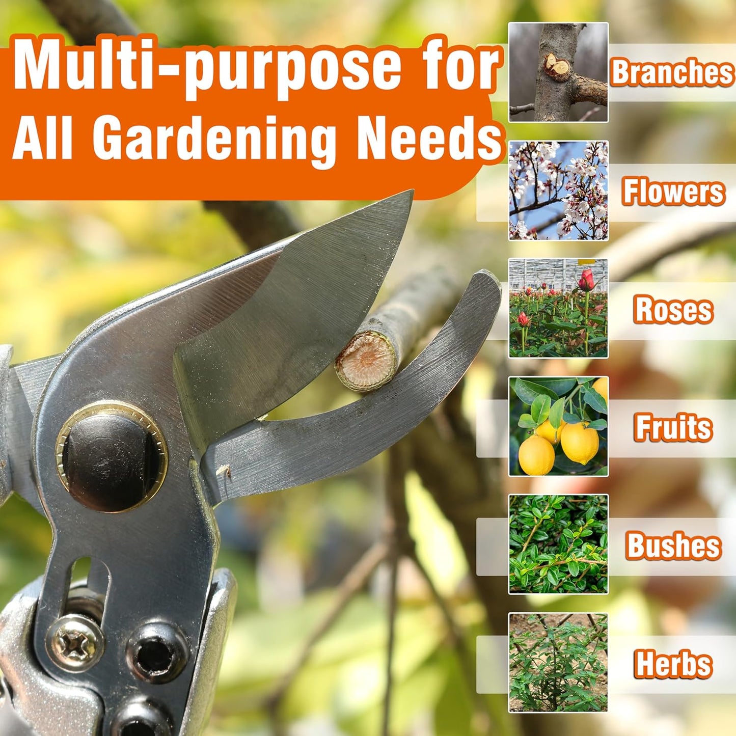 8" Bypass Prunning Shear Garden Scissors, SK5 Sharp Precision Cut Steel Blade Pruner, Blade Lock V1258-DP02-B-170