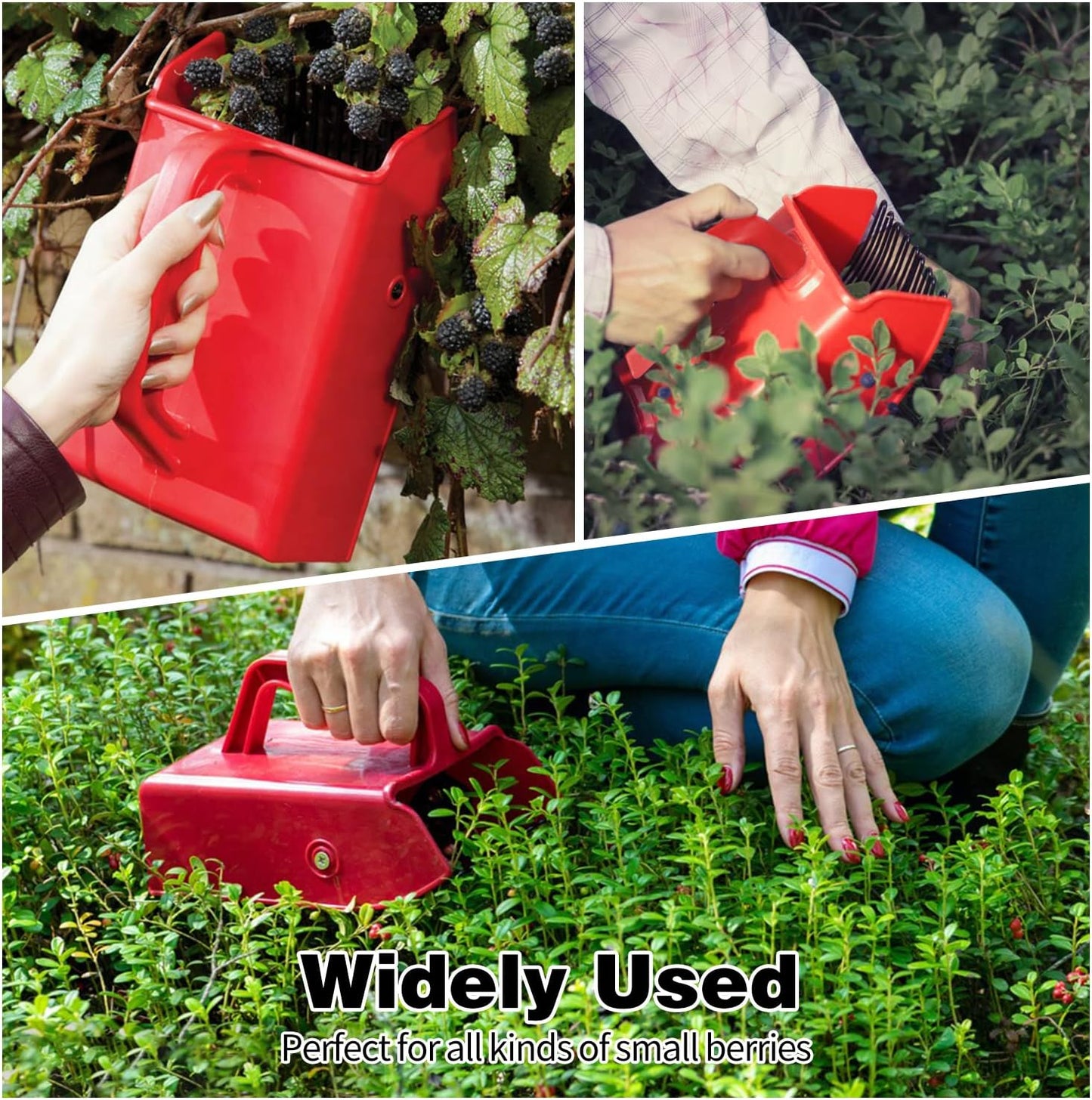1/2/4 Pack Berry Picker, with Metallic Comb and Ergonomic Handle for Easier Berry Picking V1258-DP02-B-195