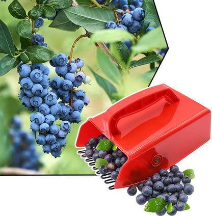 1/2/4 Pack Berry Picker, with Metallic Comb and Ergonomic Handle for Easier Berry Picking V1258-DP02-B-195