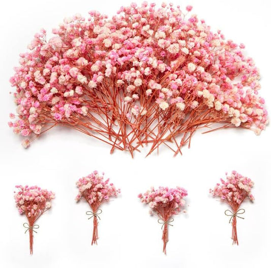 1500+ Mini Pink Dried Babys Breath Flowers, 50pcs Baby Breath Bouquet, 6'' Natural Gypsophila Bulk, Dried V1258-DP02-B-1956