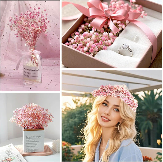 1500+ Mini Pink Dried Babys Breath Flowers, 50pcs Baby Breath Bouquet, 6'' Natural Gypsophila Bulk, Dried V1258-DP02-B-1956