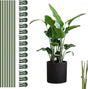 10pcs Green Plant Support Stakes with 15pcs Clips, Bendable Stakes for Tall Plants, Indoor & Outdoor Use V1258-DP02-B-2829