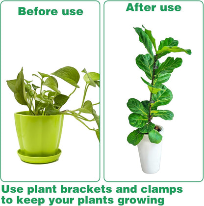 10pcs Green Plant Support Stakes with 15pcs Clips, Bendable Stakes for Tall Plants, Indoor & Outdoor Use V1258-DP02-B-2829
