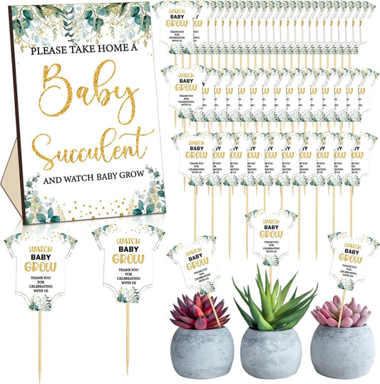 51 Pcs Watch Baby Grow Succulent Tags Baby Shower Party Favors Include 1 Piece Wooden Table Sign 50 Sets V1258-DP02-B-3062
