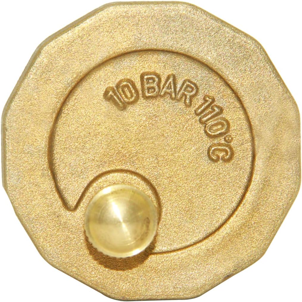 Brass 10500-VE Automatic Float Valve, 3/4" Male Thread Air Release Valve Air Bleeder Valve Vent Valve V1258-DP02-B-3120