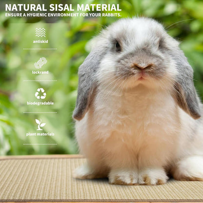 2Pcs Rabbit Scratch Mat,16 x 12 Inch Sisal Rabbit Scratching Pad,Rabbits Scratching Mats for Cages,Claws and V1258-DP02-B-3250