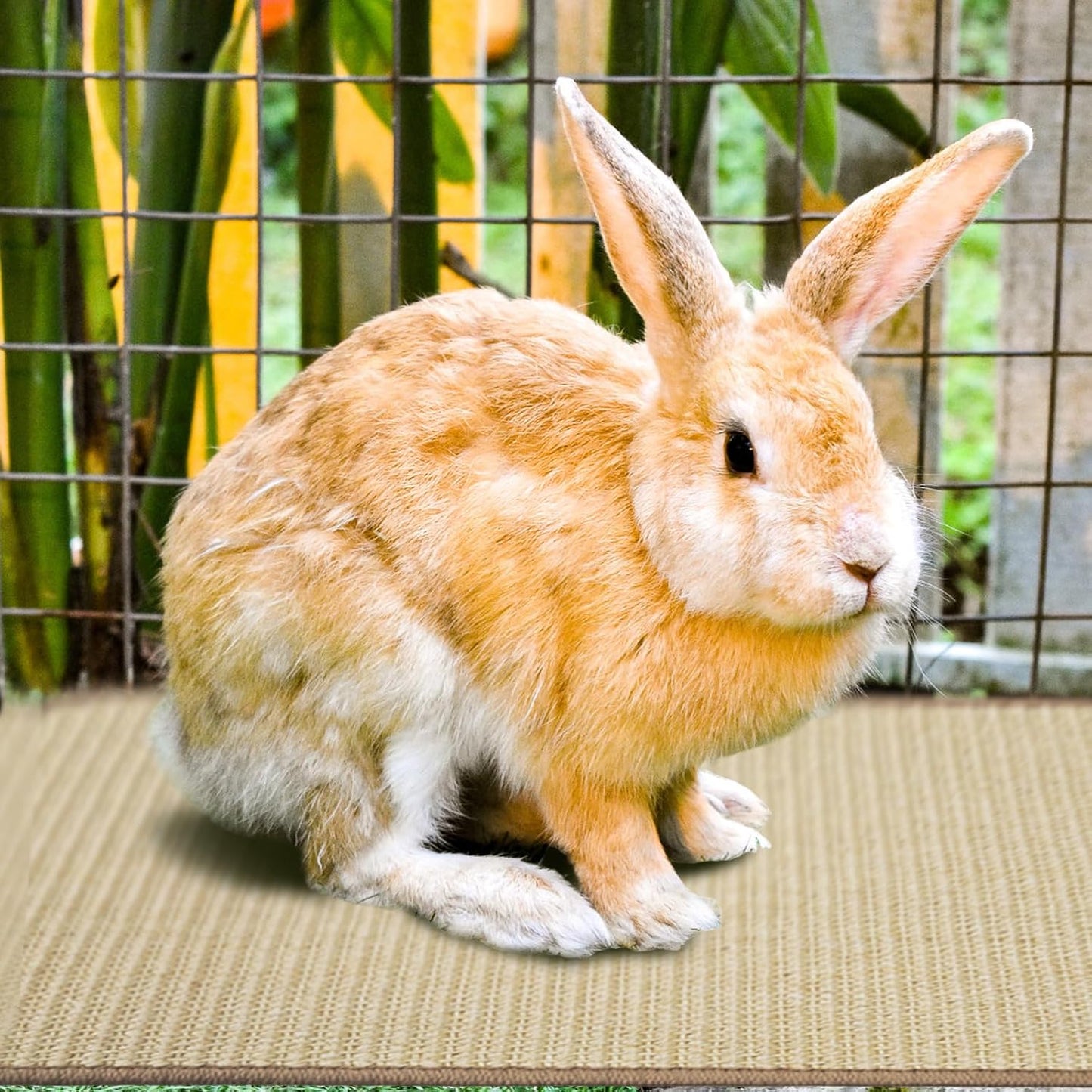 2Pcs Rabbit Scratch Mat,16 x 12 Inch Sisal Rabbit Scratching Pad,Rabbits Scratching Mats for Cages,Claws and V1258-DP02-B-3250