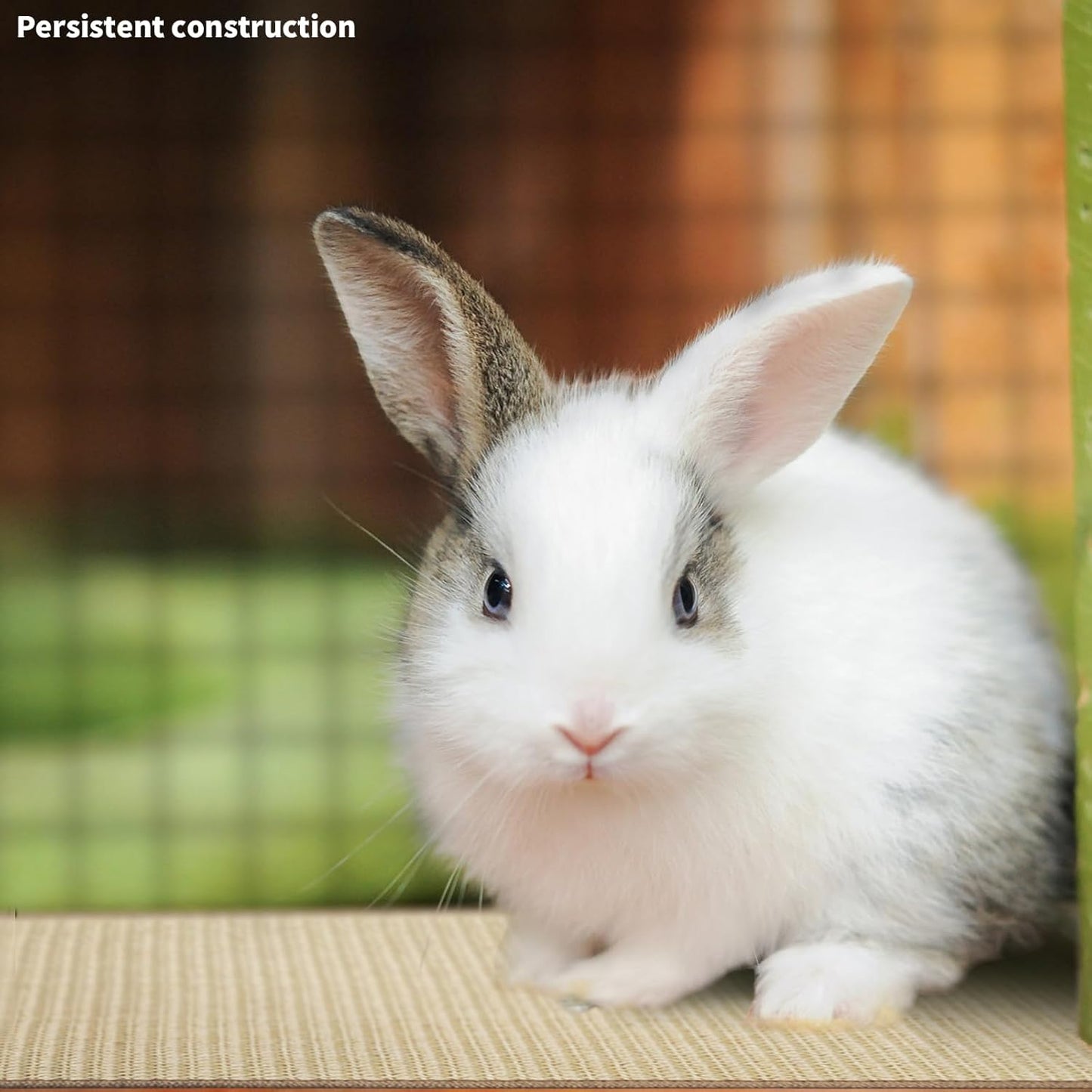 2Pcs Rabbit Scratch Mat,16 x 12 Inch Sisal Rabbit Scratching Pad,Rabbits Scratching Mats for Cages,Claws and V1258-DP02-B-3250