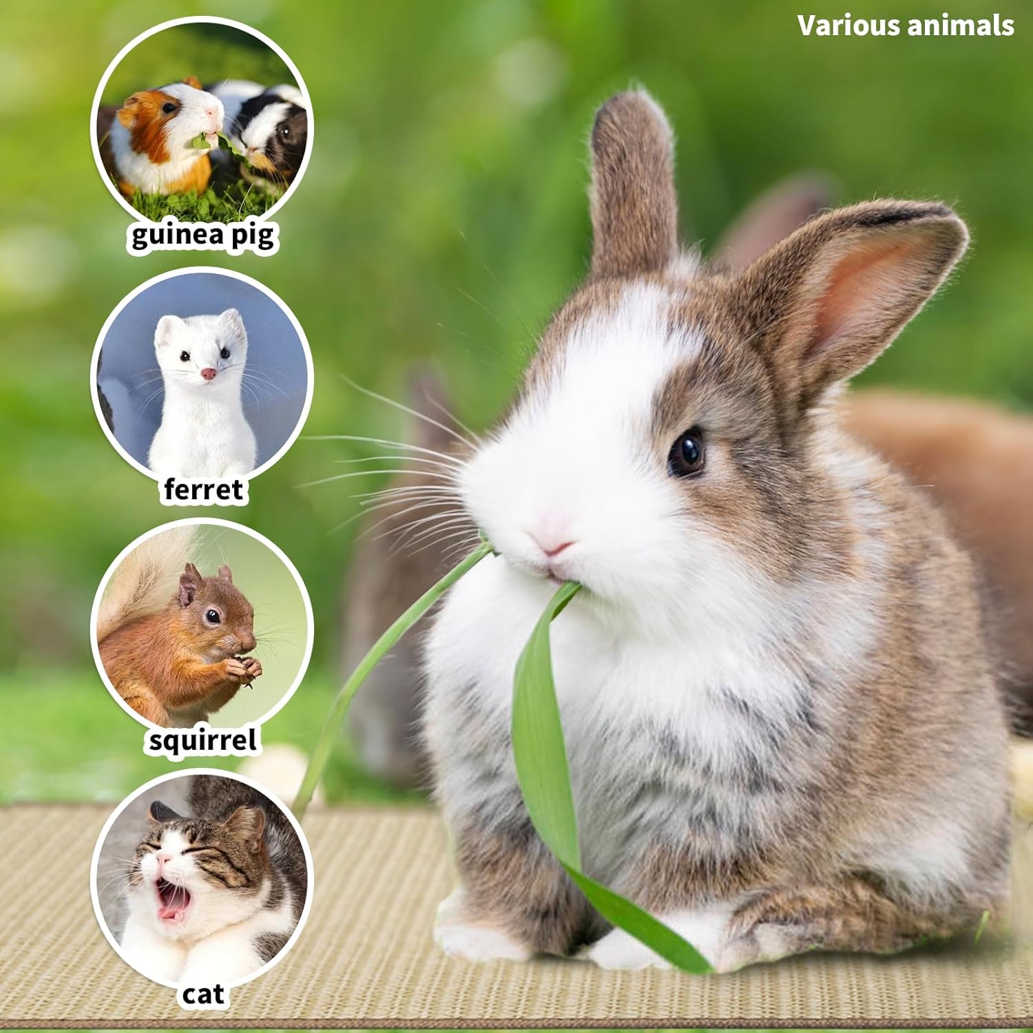 2Pcs Rabbit Scratch Mat,16 x 12 Inch Sisal Rabbit Scratching Pad,Rabbits Scratching Mats for Cages,Claws and V1258-DP02-B-3250