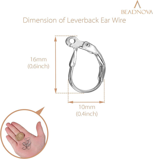 Stainless Steel Leverback Earring Hooks 100pcs French Ear Wire Lever Back Earwire for Jewelry Making Crafting V1258-DP02-B-576