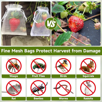 Fruit Protection Bags - 100PCS Nets, 4x6 Inch, White, Mesh Bags for Fruit & Vegetables V1258-DP02-B-680