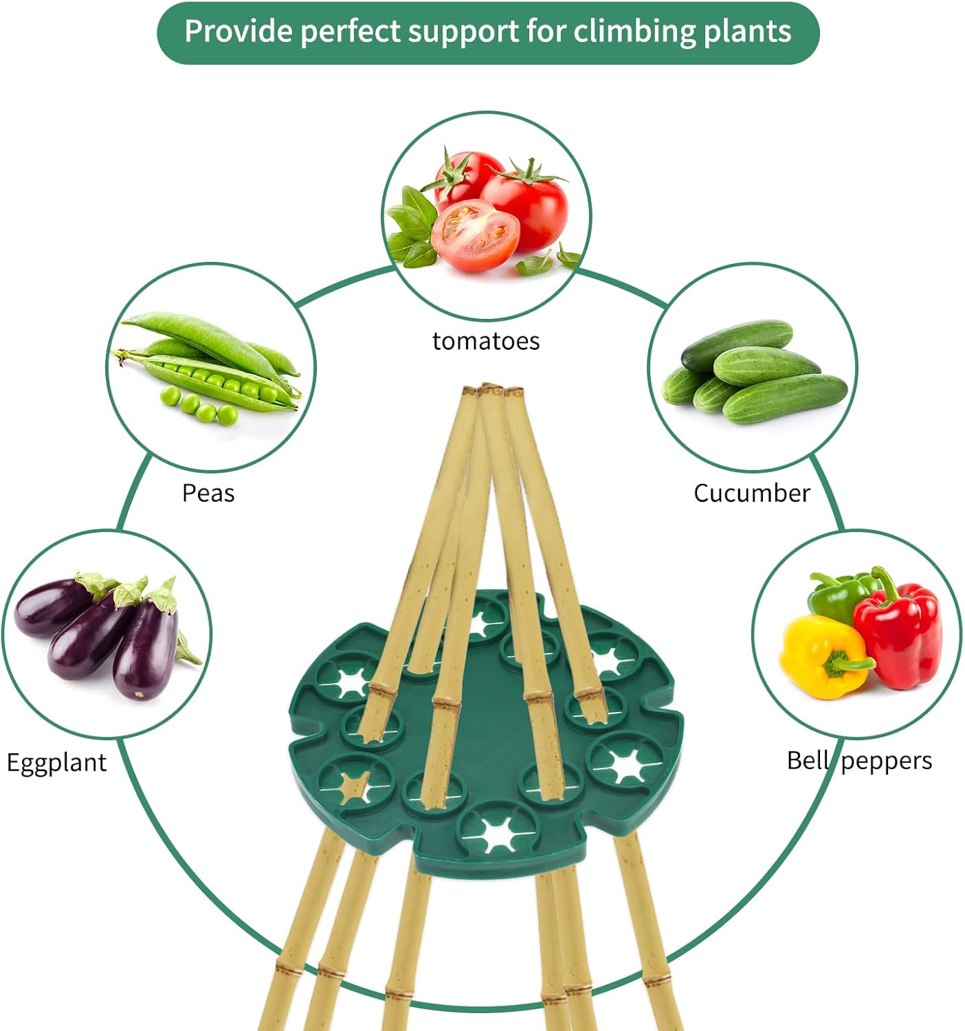 6 Pcs Bamboo Cane Holder Plastic Plant Cane Support Caps Holders for Climbing Plants Sweet Peas Beans Green V1258-DP02-B-688
