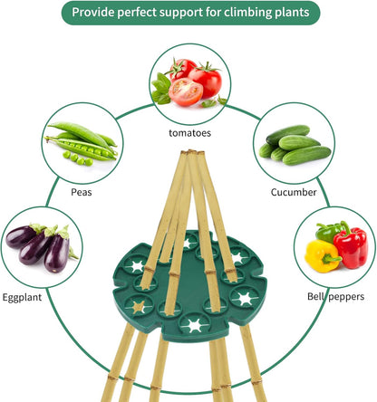 6 Pcs Bamboo Cane Holder Plastic Plant Cane Support Caps Holders for Climbing Plants Sweet Peas Beans Green V1258-DP02-B-688