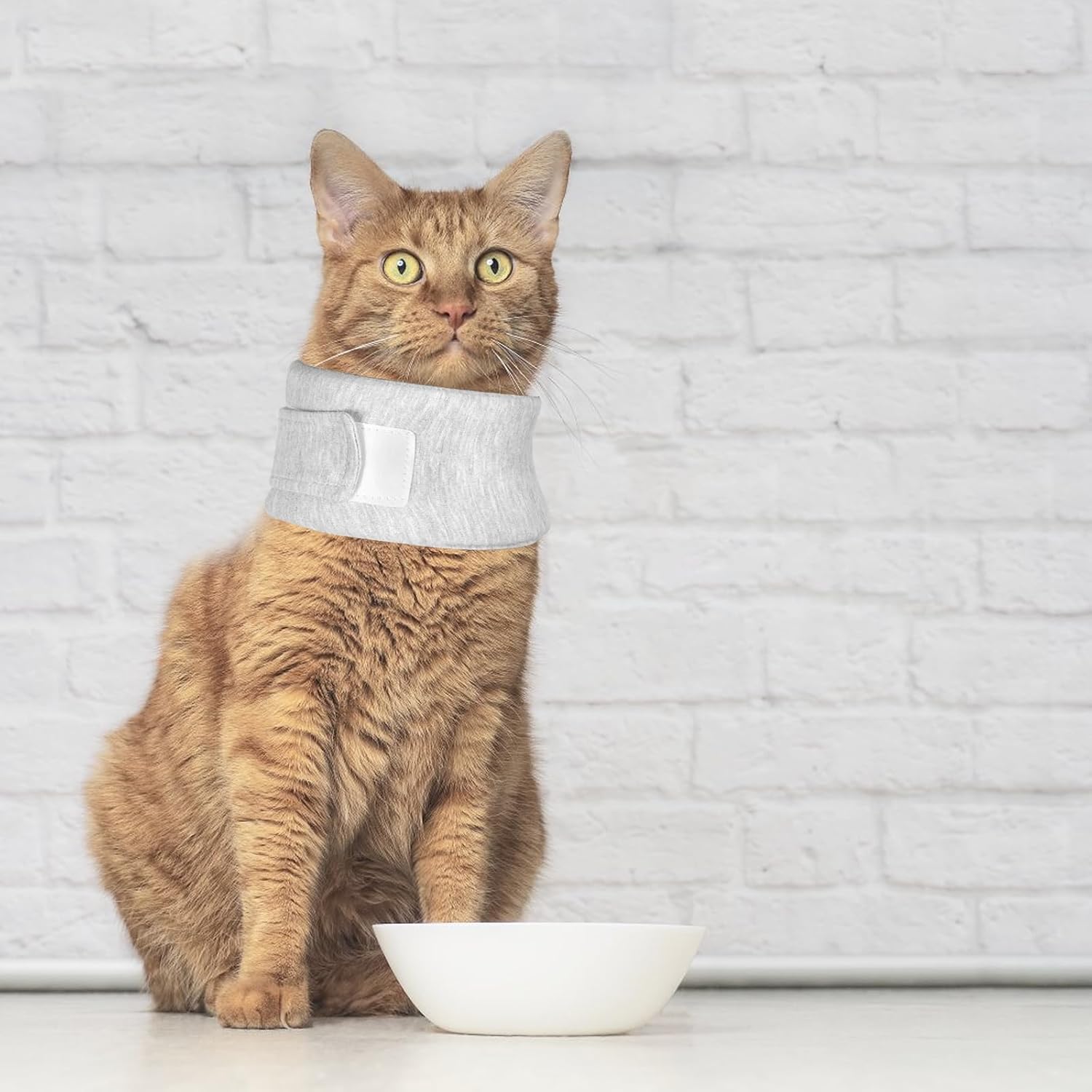 Soft Protective Collar for Cats & Small Dogs - Comfortable Adjustable (21-26 cm) - Set of 1 V1258-DP02-BOL-140