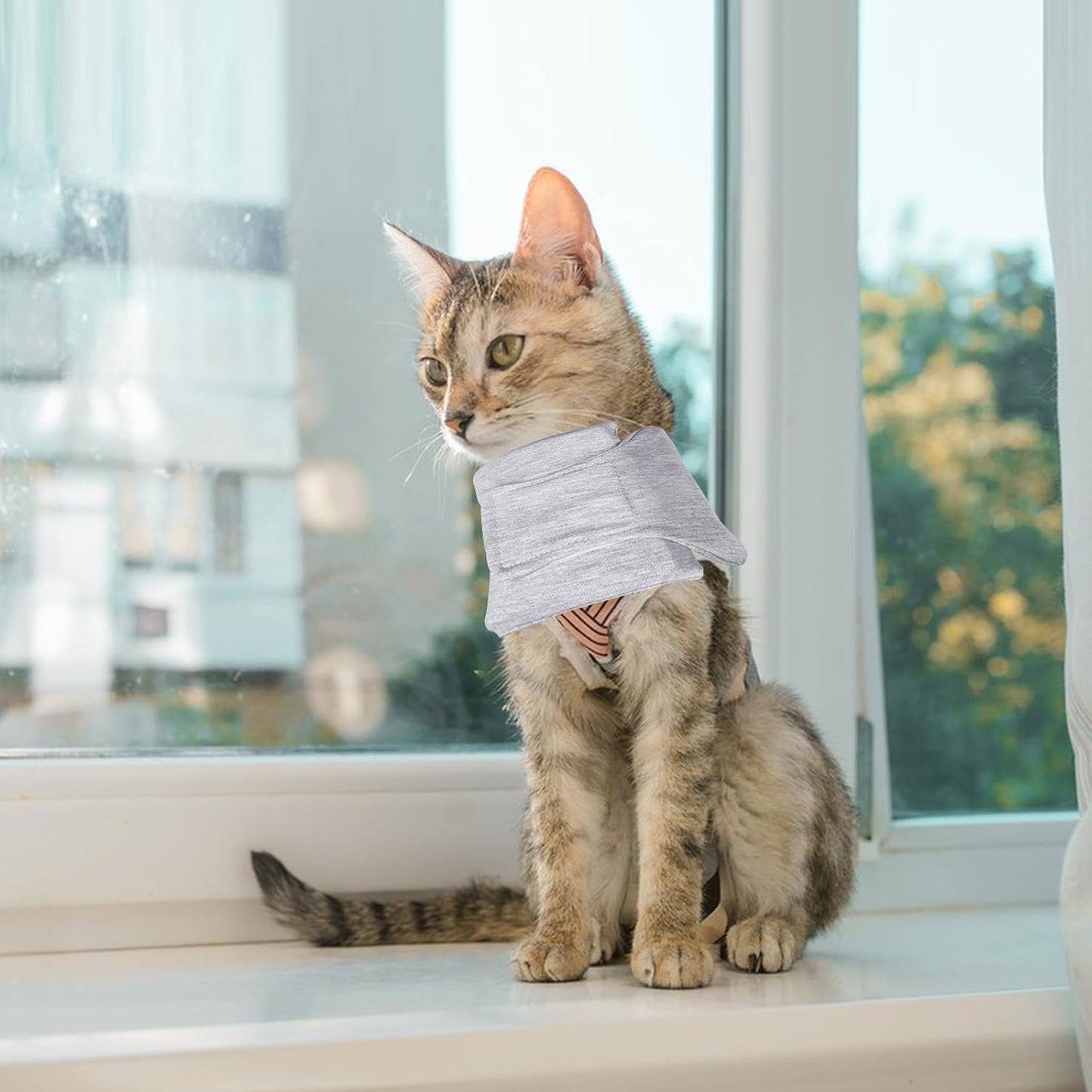 Soft Protective Collar for Cats & Small Dogs - Comfortable Adjustable (21-26 cm) - Set of 1 V1258-DP02-BOL-140