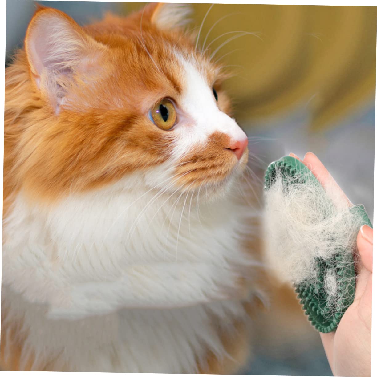 2 Pack Pet Massage Brush for Dog and Cat Grooming Green V1258-DP02-BOL-156
