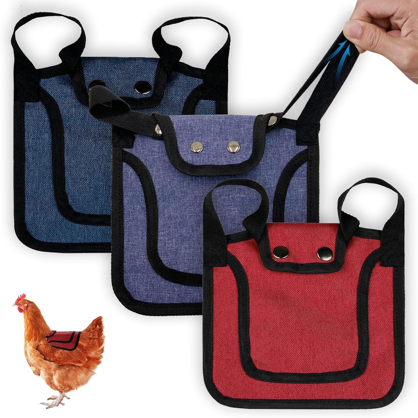 3 Piece Chicken Saddle Set Red/Blue/Purple Elastic Strap Back and Side Protection Poultry Accessories V1258-DP02-BOL-272