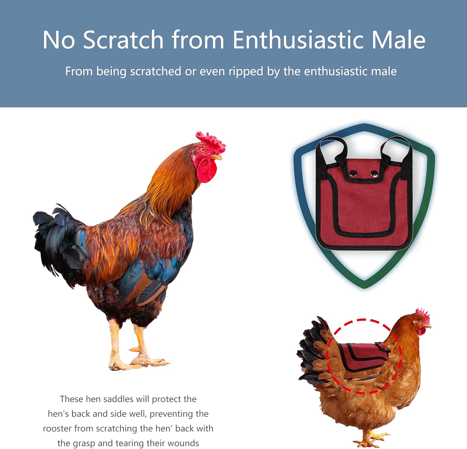 3 Piece Chicken Saddle Set Red/Blue/Purple Elastic Strap Back and Side Protection Poultry Accessories V1258-DP02-BOL-272