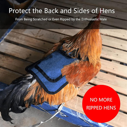 3 Piece Chicken Saddle Set Red/Blue/Purple Elastic Strap Back and Side Protection Poultry Accessories V1258-DP02-BOL-272