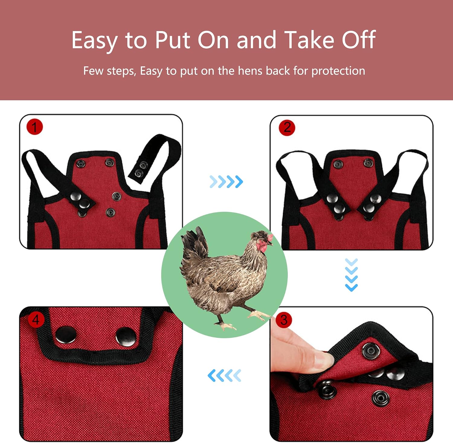 3 Piece Chicken Saddle Set Red/Blue/Purple Elastic Strap Back and Side Protection Poultry Accessories V1258-DP02-BOL-272