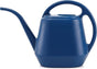 1 Gallon Blue Watering Can for Indoor Outdoor Plants V1258-DP02-BOL-306