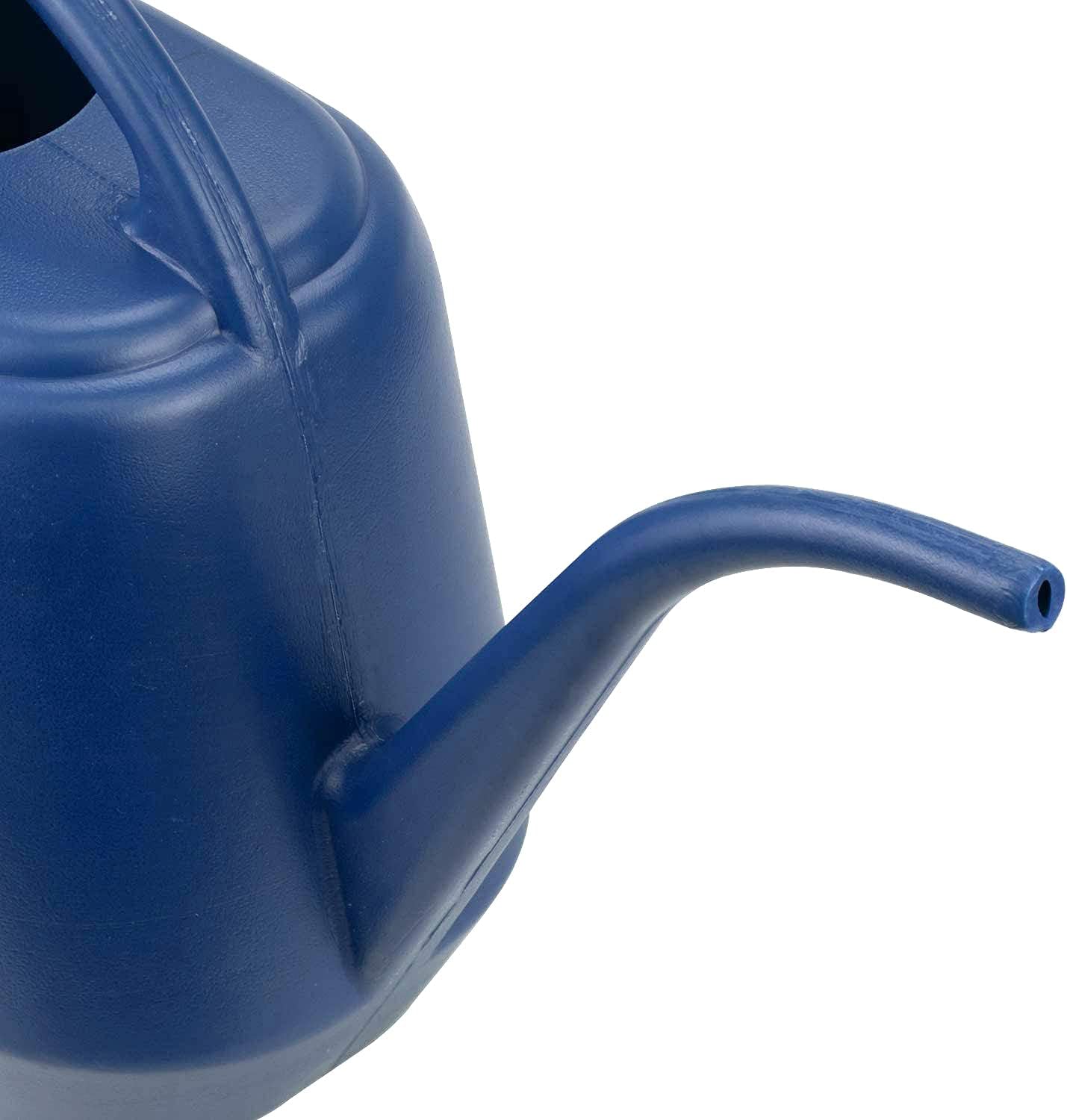 1 Gallon Blue Watering Can for Indoor Outdoor Plants V1258-DP02-BOL-306