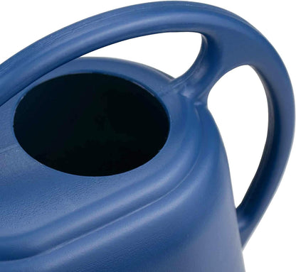 1 Gallon Blue Watering Can for Indoor Outdoor Plants V1258-DP02-BOL-306