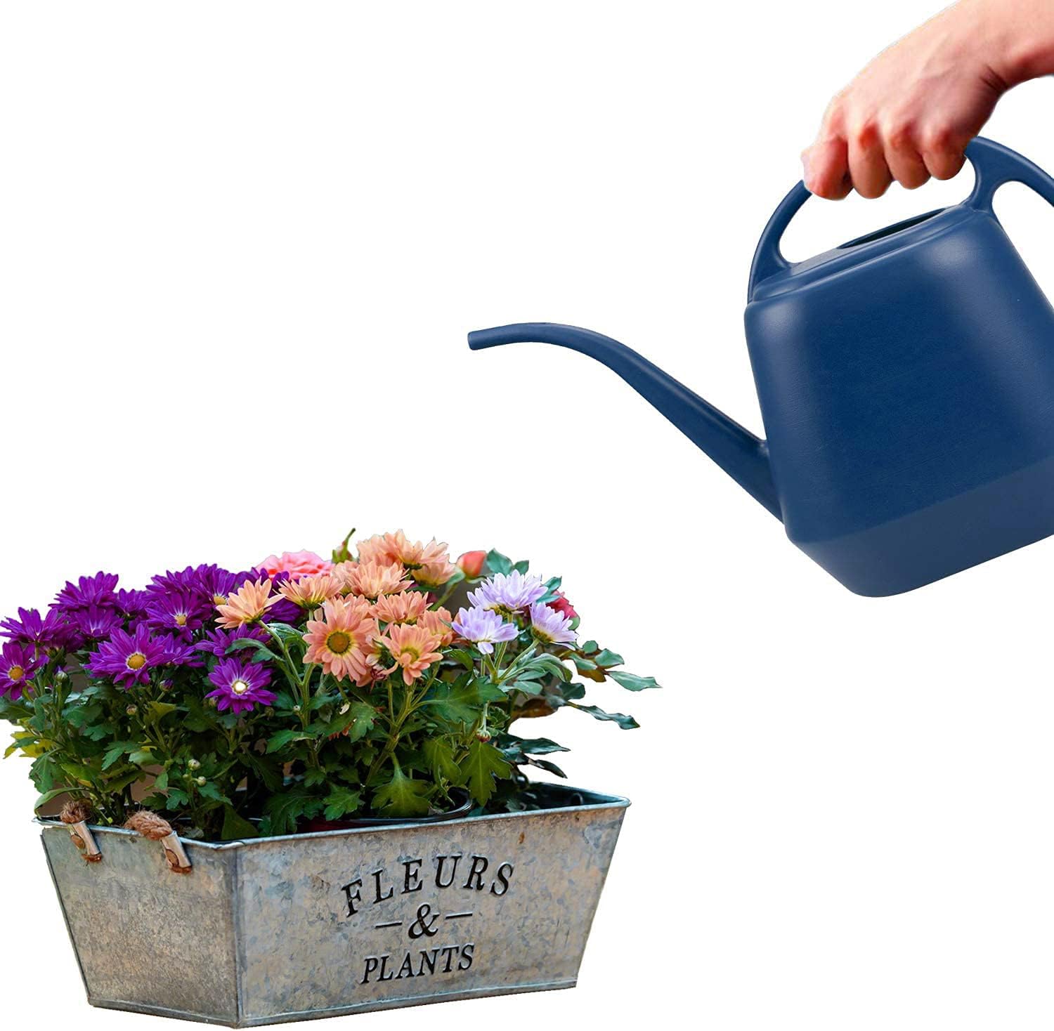 1 Gallon Blue Watering Can for Indoor Outdoor Plants V1258-DP02-BOL-306