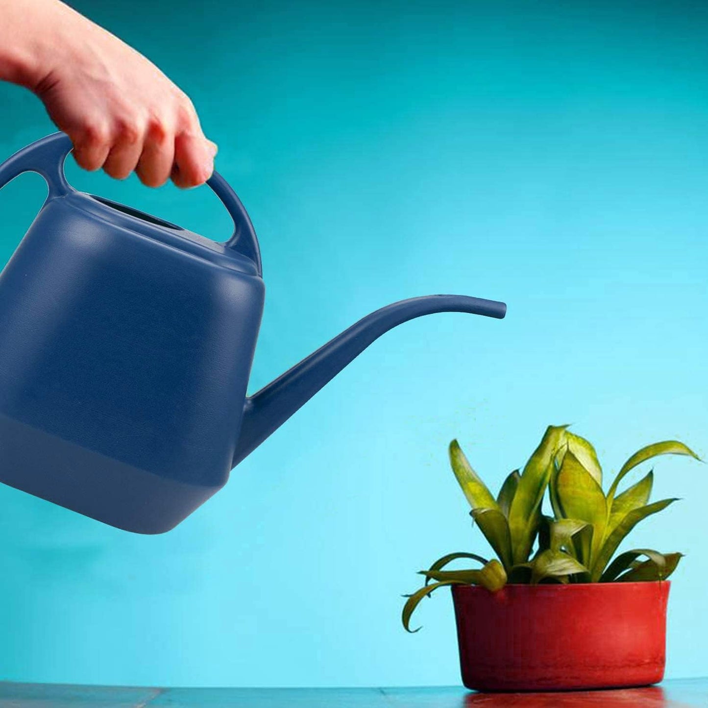 1 Gallon Blue Watering Can for Indoor Outdoor Plants V1258-DP02-BOL-306