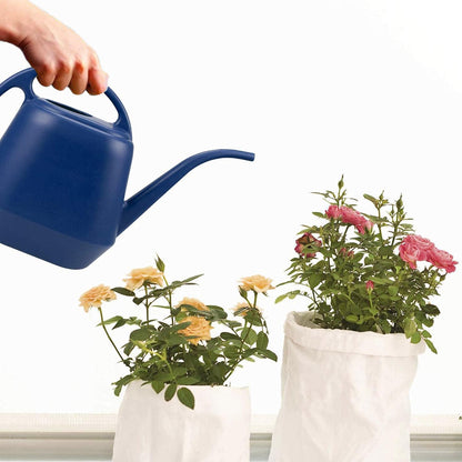 1 Gallon Blue Watering Can for Indoor Outdoor Plants V1258-DP02-BOL-306