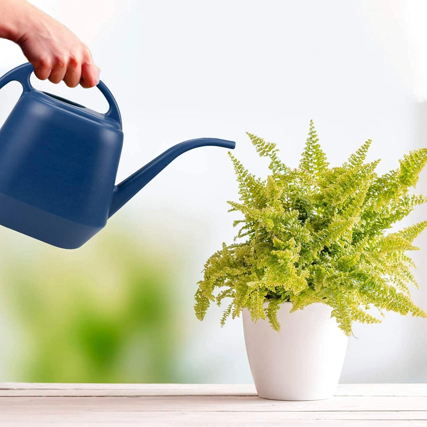 1 Gallon Blue Watering Can for Indoor Outdoor Plants V1258-DP02-BOL-306