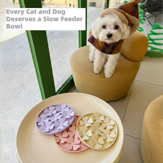 Slow Feeder Bowl for Cats and Dogs Yellow Anti-Choking Educational Pet Toy BPA-Free Silicone Bowl for Fast V1258-DP02-BOL-374