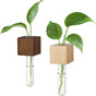 2 Pack Magnetic Wall Vases Mini Hydroponic Test Tubes for Home Decor V1258-DP02-BOL-484