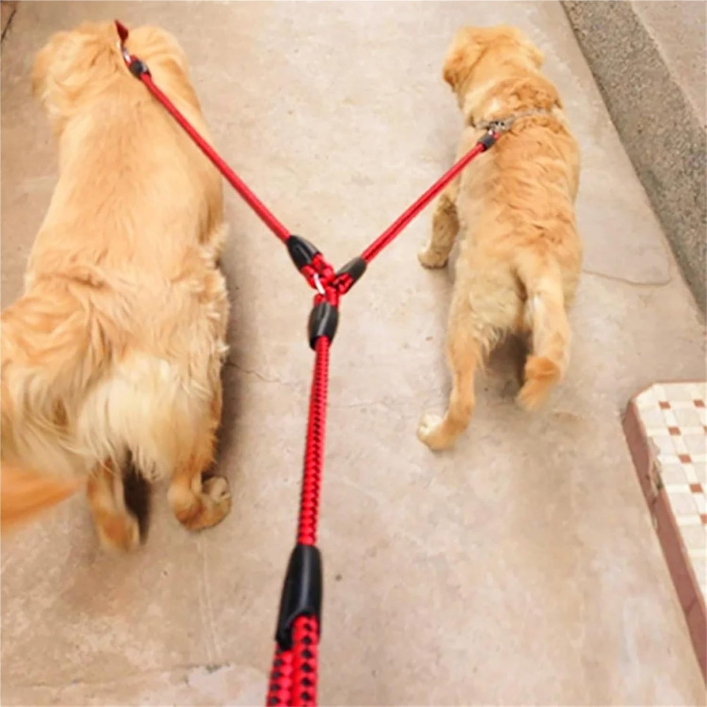 Adjustable 1.4m Double Dog Leash with Collar - Black and Blue Sturdy Pet Lead for Dogs V1258-DP02-BOL-498