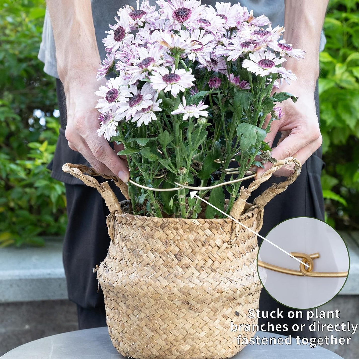 Gold Indoor Plant Stand for Climbing Plants - Plant Support Holder V1258-DP02-BOL-500