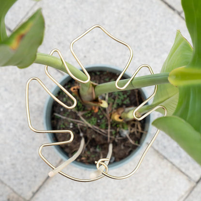 Gold Indoor Plant Stand for Climbing Plants - Plant Support Holder V1258-DP02-BOL-500