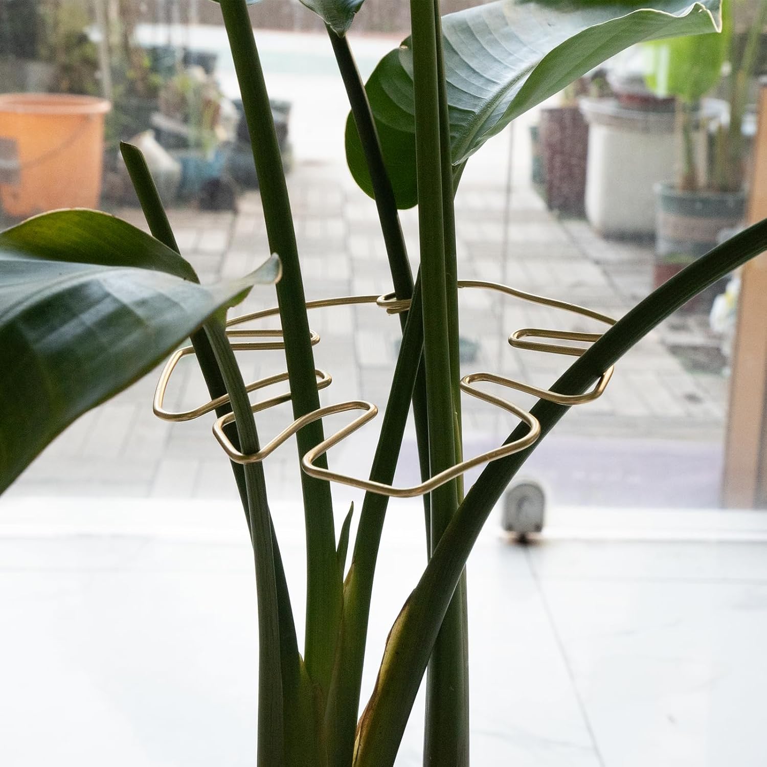 Gold Indoor Plant Stand for Climbing Plants - Plant Support Holder V1258-DP02-BOL-500