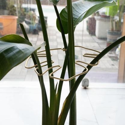 Gold Indoor Plant Stand for Climbing Plants - Plant Support Holder V1258-DP02-BOL-500