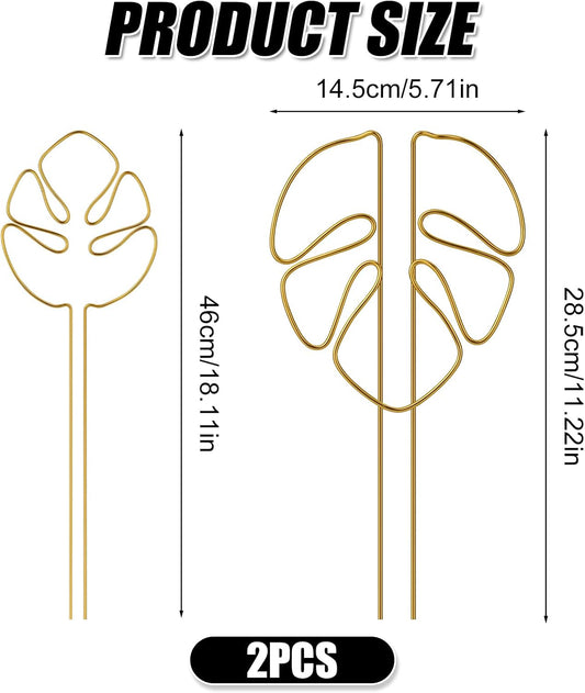 2 Pack Gold Plant Supports Indoor Outdoor Plant Stakes Clips Plant Stand for Plant Support V1258-DP02-BOL-501