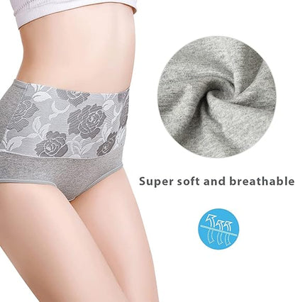 Women's 5-Pack XL Leakproof Underwear Multiple Colours Briefs V1258-DP02-BOL-565