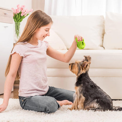 Interactive Chew Toy for Small Dogs Square Shaped Teeth Cleaning and Biting Plaything V1258-DP02-BOL-57