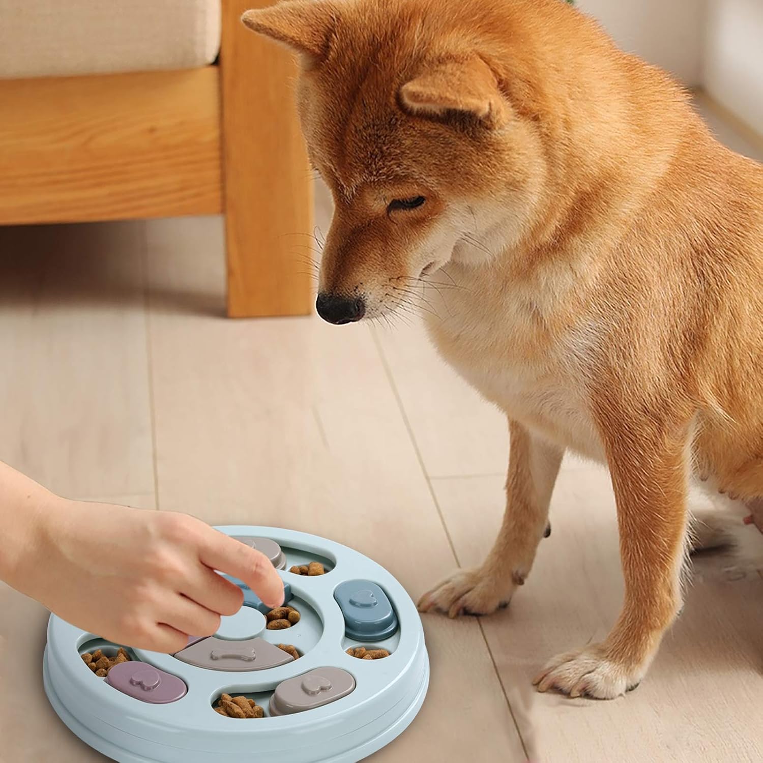 Dog Twister Puzzle Toy - Interactive Intelligence Game for Dogs - Blue V1258-DP02-BOL-579