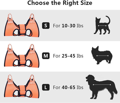 Durable Pet Grooming Restraint Band for Safe Dog Cat Nail Trimming Hanging Bed Helper V1258-DP02-BOL-66