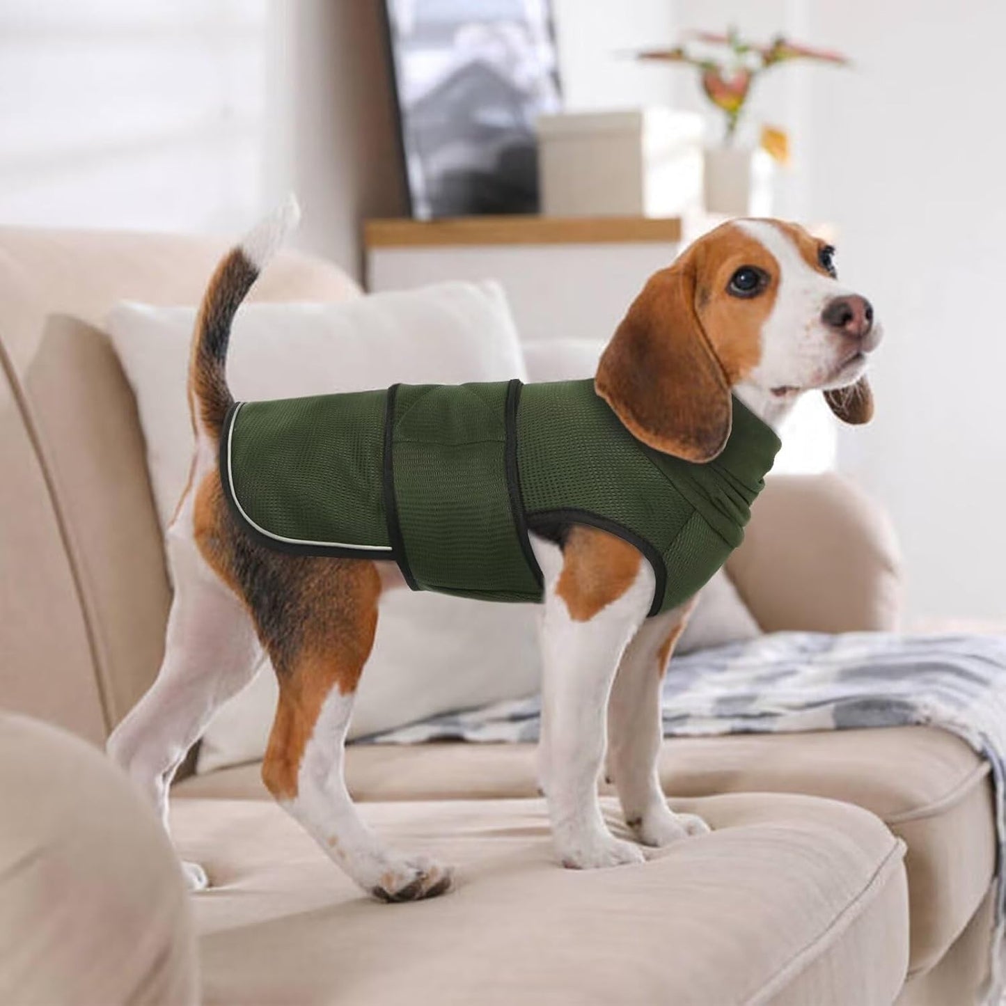 Winter Dog Coat - Soft Adjustable Bodywarmer - Warm - Size M - Military Green V1258-DP02-BOL-662