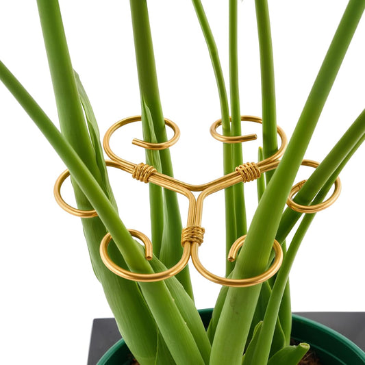 10.5cm x 10.5cm Gold Plant Stem Supports 4 Pack - Indoor Plant Stakes for Tall Plants, Monstera - Plant V1258-DP02-BOL-687