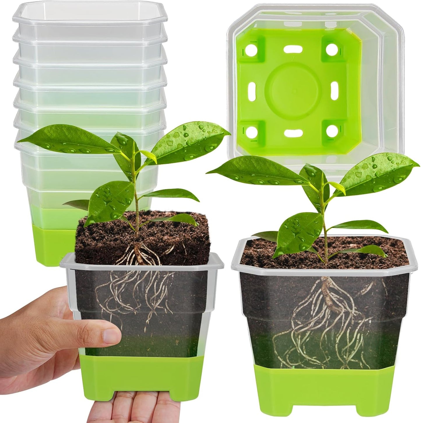 12 Pcs Reusable Green Seedling Starter Pots - Mini Succulent Planters for Seed Germination V1258-DP02-BOL-705