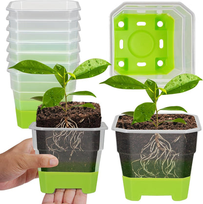 12 Pcs Reusable Green Seedling Starter Pots - Mini Succulent Planters for Seed Germination V1258-DP02-BOL-705