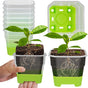 12 Pcs Reusable Green Seedling Starter Pots - Mini Succulent Planters for Seed Germination V1258-DP02-BOL-705