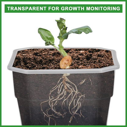 12 Pcs Reusable Green Seedling Starter Pots - Mini Succulent Planters for Seed Germination V1258-DP02-BOL-705